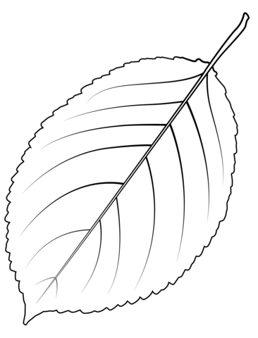 Wild Cherry Tree Leaf Coloring Page